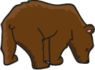 cartoon brown bear, sniffing the ground