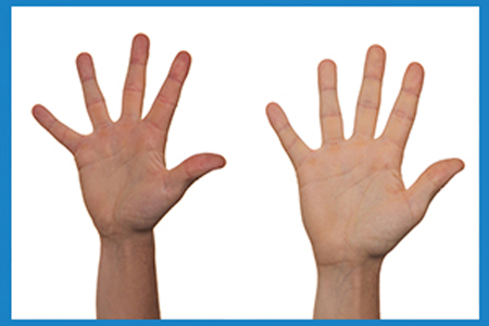 two hands up on white background