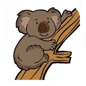 cartoon koala on tree branch