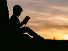 silhouette of child reading leaning against a tree, with sunrise in the background